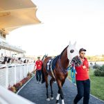 有哪些经典的百家乐成败故事?-博彩技巧-博彩策略论坛