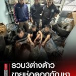 3名外国人在泰被捕!屋内藏有300多斤大麻用于销售-博彩技巧-博彩策略论坛