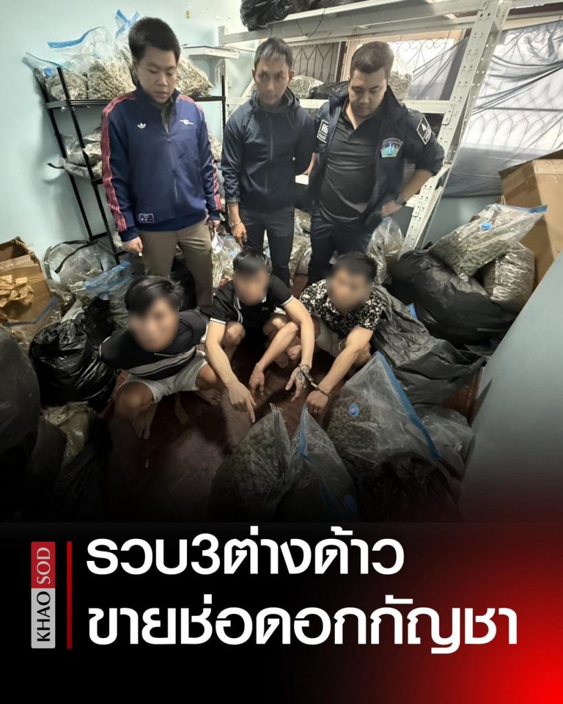 3名外国人在泰被捕！屋内藏有300多斤大麻用于销售-博彩技巧-博彩策略论坛