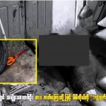 缅甸一男子接连捅自己14刀，自杀身亡-博彩技巧-博彩策略论坛