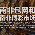 职业玩家如何选择博彩项目：智慧与策略的完美结合-博彩技巧-博彩策略论坛