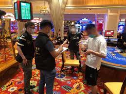 龙七亏损上限：提前设定，让你的投注策略更胜一筹-博彩技巧-博彩策略论坛